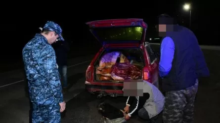 17 ловушек на скотокрадов устроила полиция в Карагандинской области
