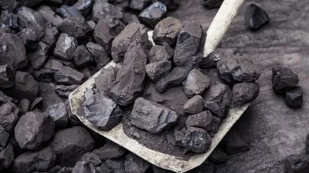 В акимате Астаны сообщили, где и по какой цене можно купить уголь
