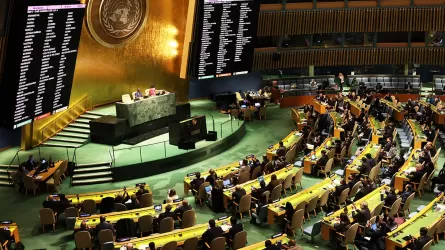 В ООН заявили о массовых нарушениях прав человека в Беларуси