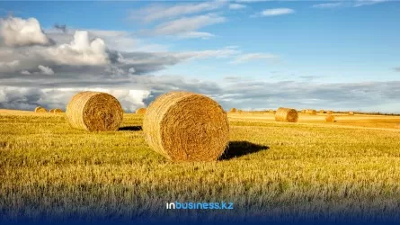 Казахстан аграрный: что ждет сельхозбизнес от правительства?