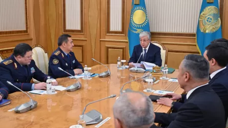 Необходимы новые идеи по переформатированию работы органов внутренних дел – Токаев