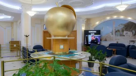 Алматы халықаралық әуежайында туристерді алмамен қарсы алады