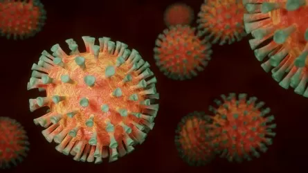 Коронавирус снова появился в Костанайской области