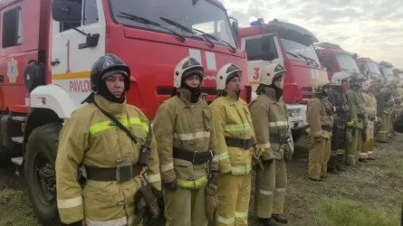 Пожар на приграничье «ликвидировали» павлодарские и омские спасатели