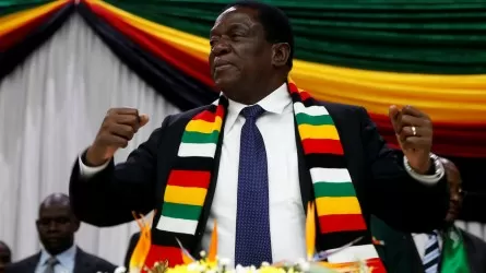 Граждане Зимбабве возмутились тем, что президент назначил родственников в правительстве