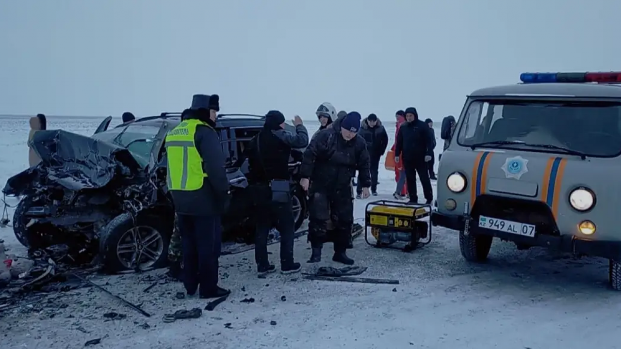 Погода зко жангала