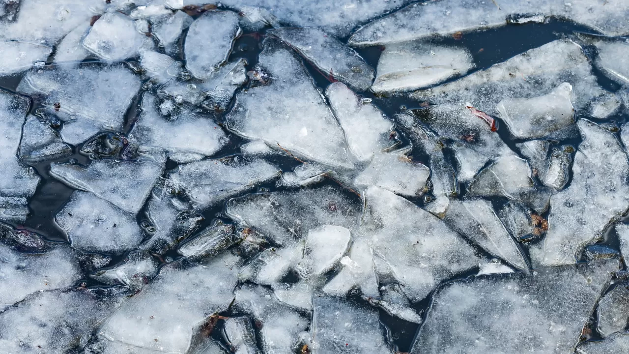 Жайыққа жеңіл көлік түсіп кетіп, жүргізуші мерт болды