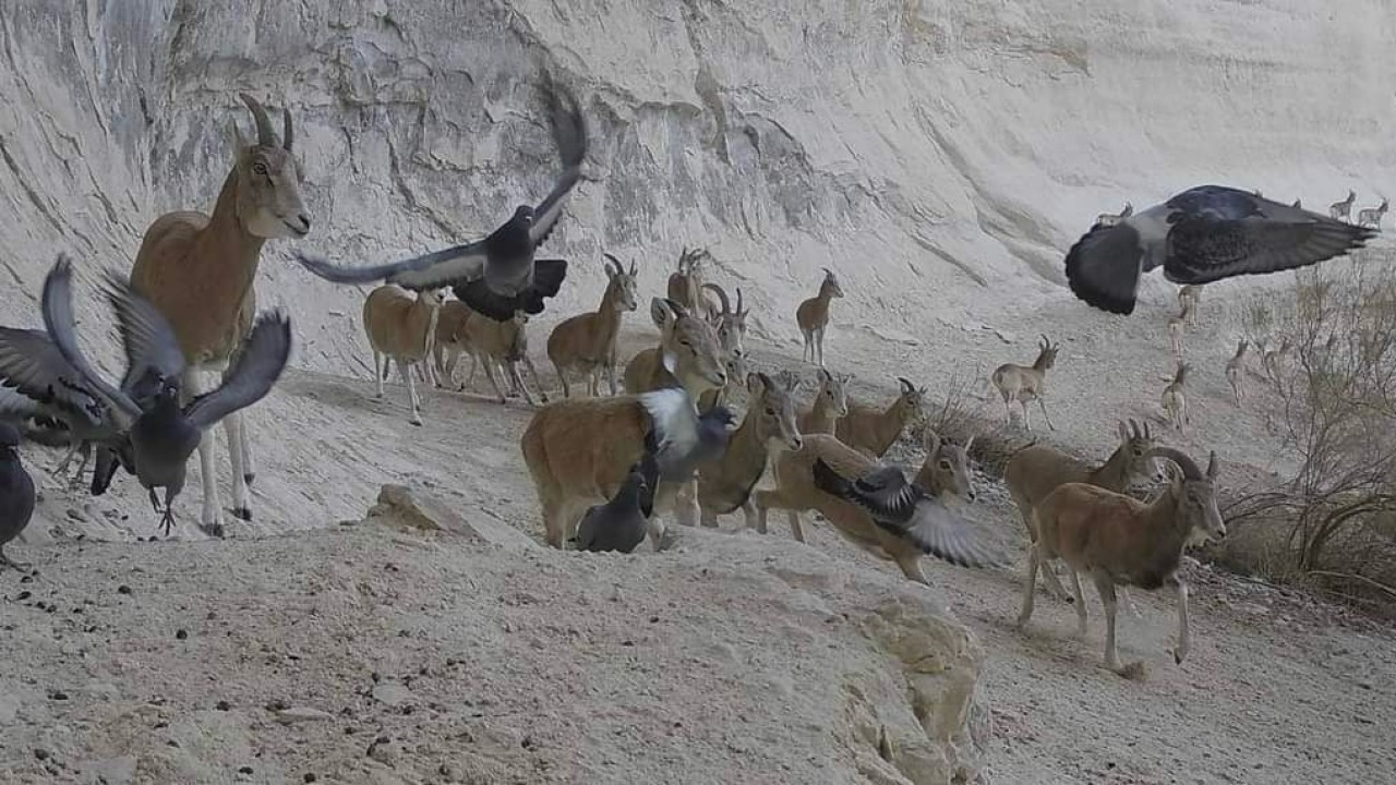Онлайн порно фильмдер Кемпірлер де жыныстық қатынасты қалайды (видео)