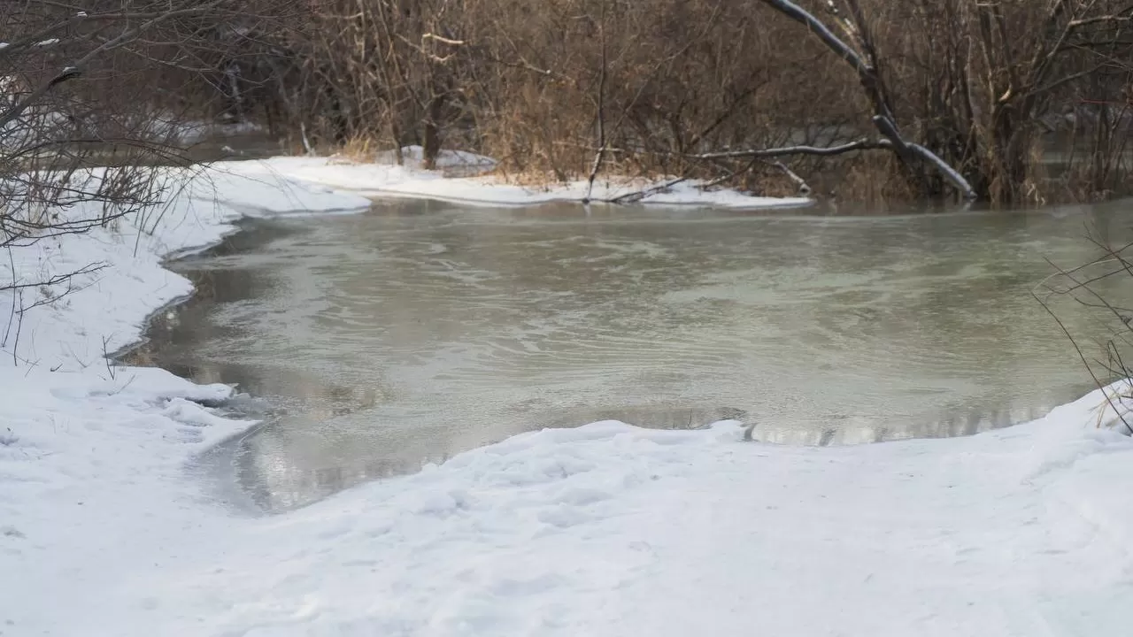 Как в Абайской области реагируют на повышение уровня воды в Иртыше?