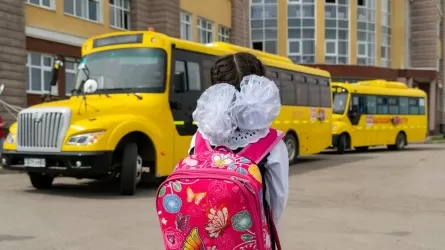 Не та категория: в Кокшетау школьным автобусом управлял человек, не имевший на это права