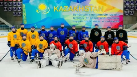Назван состав женской сборной Казахстана по хоккею на ЧМ