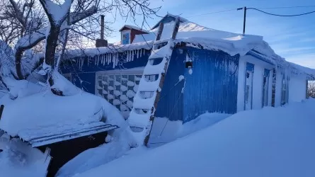 Когда в Казахстане спадут морозы  