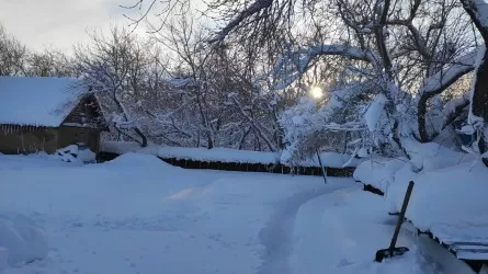 Алматы за ночь завалило снегом  