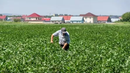 Қазақстанда аграршылар үшін байланысты субсидиялау ұсынылды 