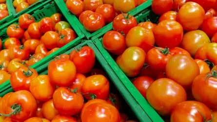Почти на 20% подорожали огурцы и помидоры в Павлодарской области