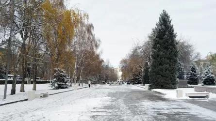 Какой будет погода в Казахстане в воскресенье, 14 января?