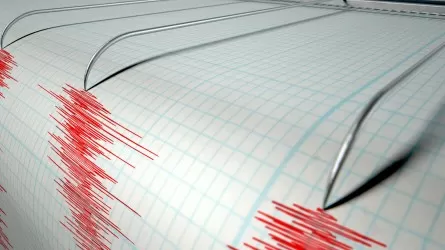В РК потребовали выяснить, почему не сработала система раннего оповещения о землетрясении