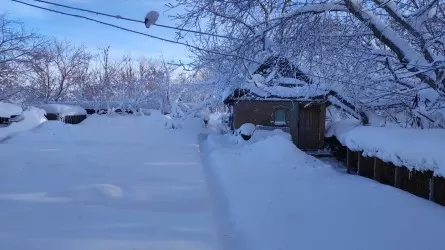 Казахстан завалит снегом? Прогноз погоды на 25-27 января  