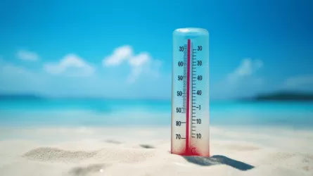2024 год может стать жарче рекордно жаркого 2023 года – ООН