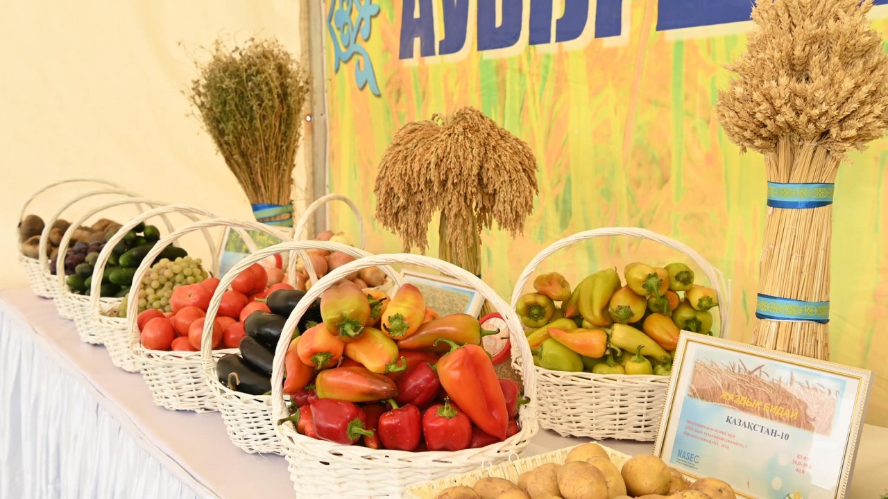 Қыздардың өкшесін жалағанды ұнататын