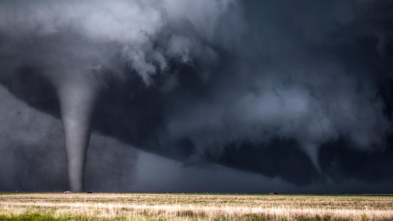 BBW порно сквитинг