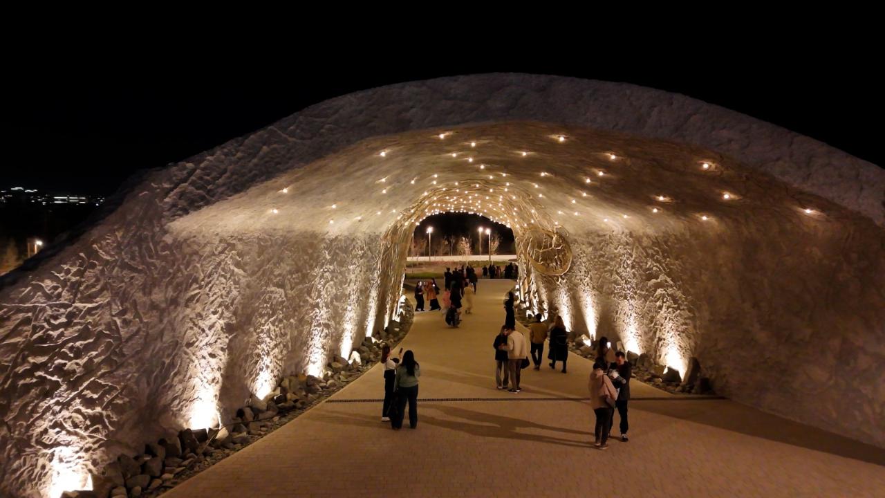 Өмір ағашы және жұлдызды аспан: Астанада жаңа қоғамдық кеңістік пайда болды