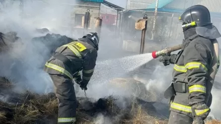 В ЗКО при пожаре погибла корова