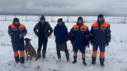 Человек ушел искать скот и потерялся в Алматинской области 