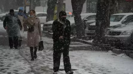 Еліміздің 14 өңірінде дауылды ескерту жарияланды 