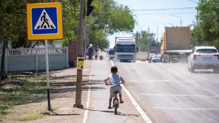 Более 50 обходов избавляют казахстанские города от транзитного транспорта