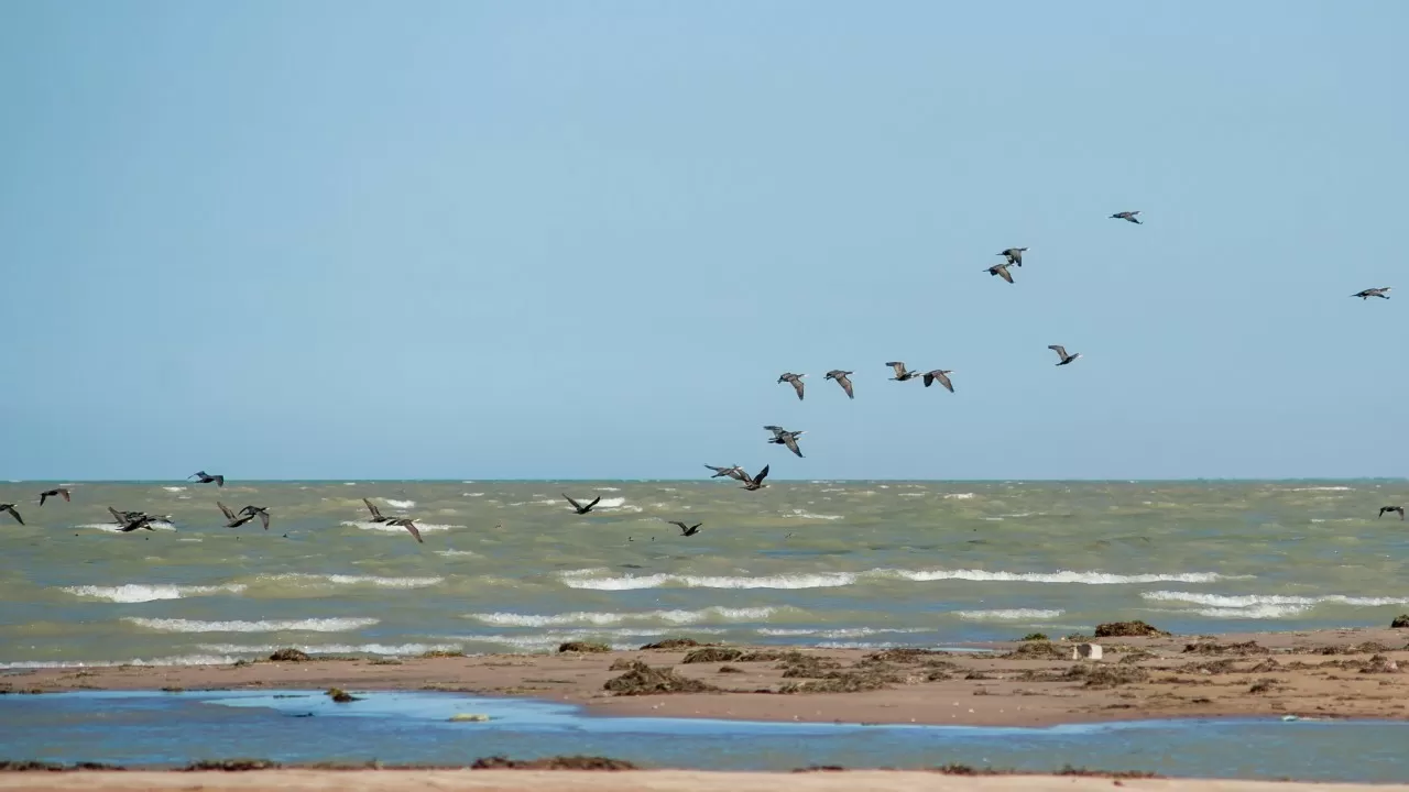 Стало известно, сколько воды направили в Каспийское море  