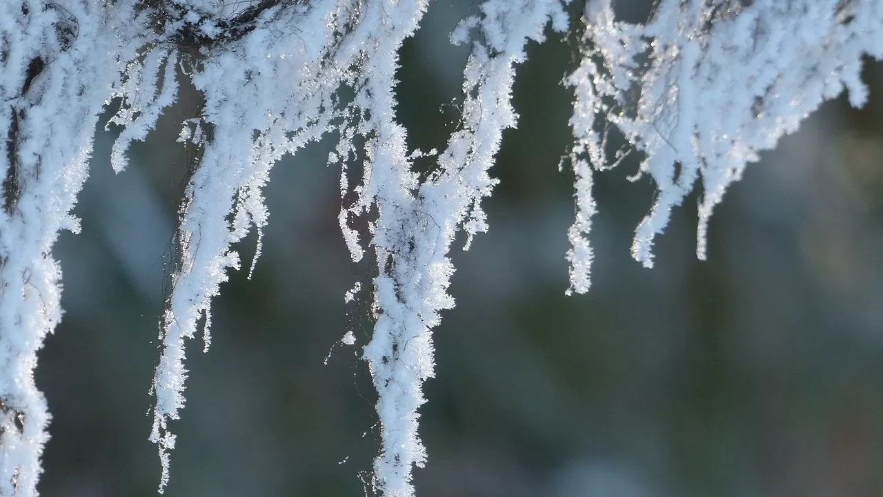 Қазақстанға  –11 градустық аяз болады