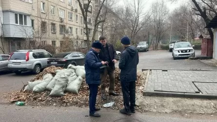 33 человека наказаны за складирование крупногабаритного мусора на улицах Алматы 