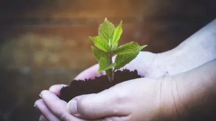 Как развивать экологическую культуру, определили в Казахстане 