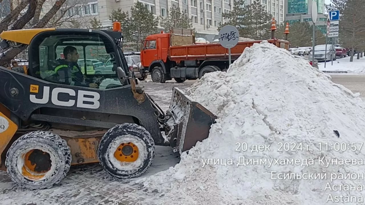 Снегопад в Астане: на уборку вышли свыше 2,6 тыс. человек  