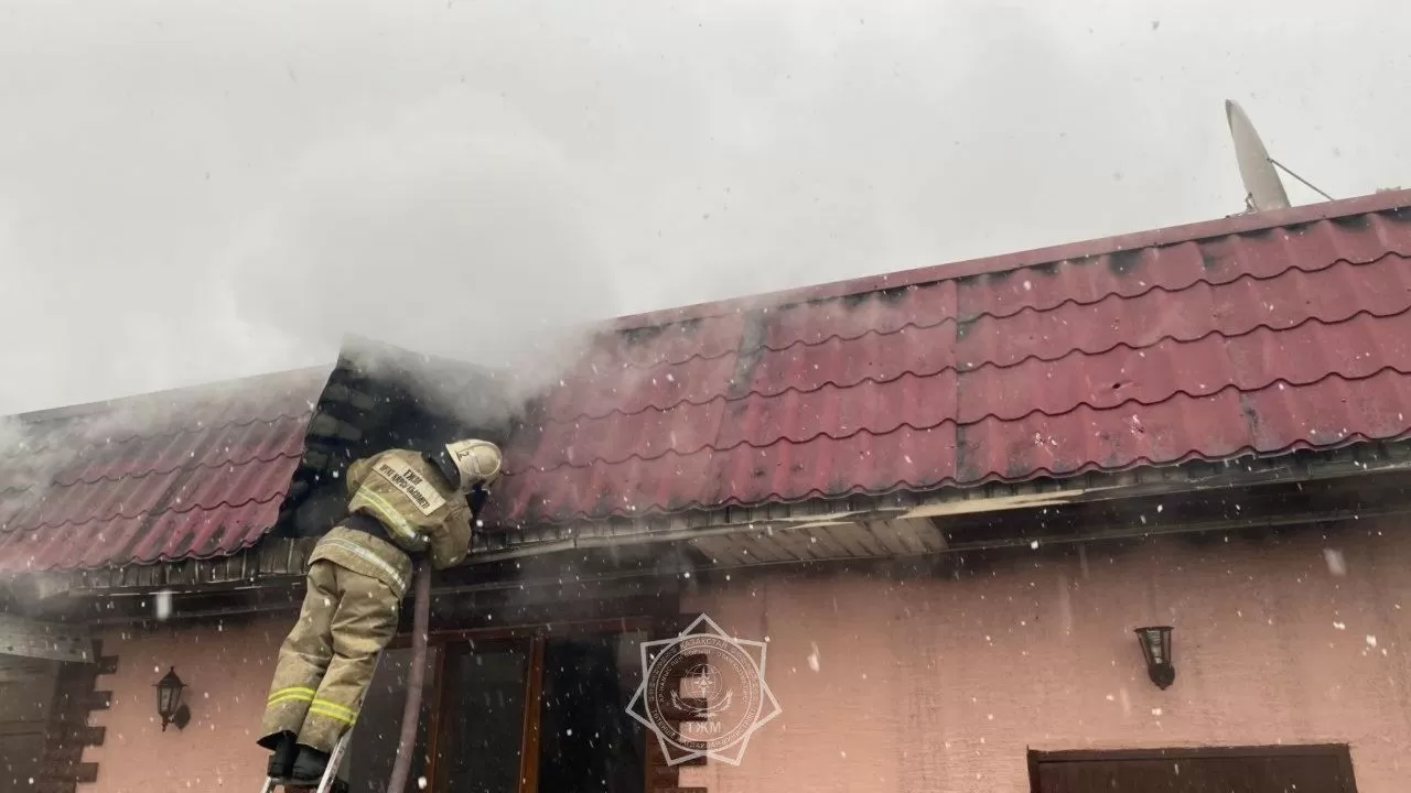 Пожар на частном подворье в Алматинской области едва не перекинулся на соседний дом