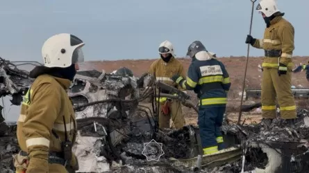 В авиакатастрофе в Актау выжили девять россиян