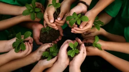 «Халықтың экологиялық мәдениетін дамытудың 2024-2029 жылдарға арналған тұжырымдамасы» бекітілді