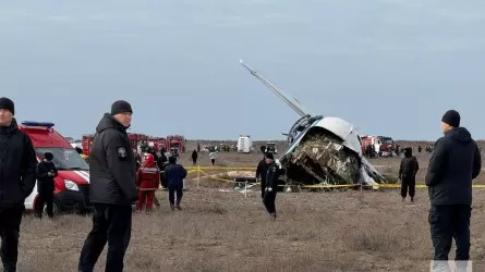 Турецкое СМИ сообщило об инциденте с самолетом, произошедшем до крушения в Актау