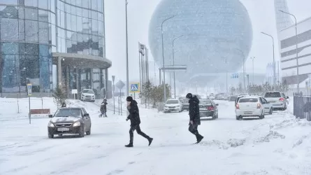 Жылан жылы елімізді не күтіп тұр