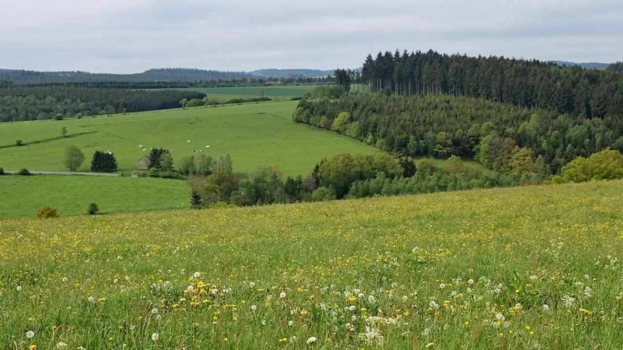 Президент жайылым жөніндегі өзгерістер енгізілген заңға қол қойды