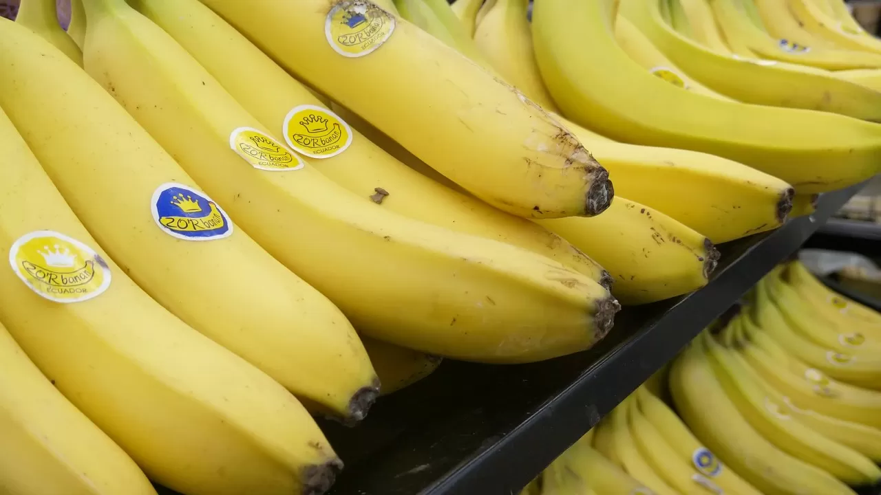 Драйверами роста цен в январе в РК стали огурцы, помидоры и бананы