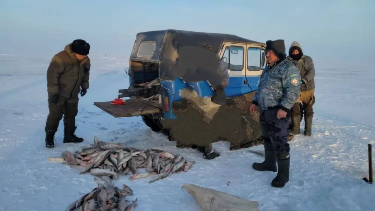 Жетісу полицейлері браконьерден 120 келіден астам балық тәркіледі 