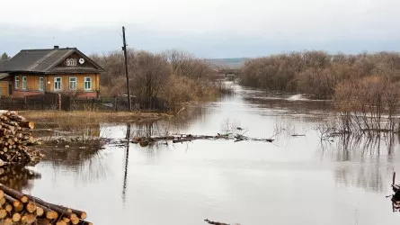 Паводки в Казахстане: в каких регионах складывается напряженная ситуация?