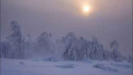 Метели и сильные снегопады обрушатся на некоторые регионы Казахстана