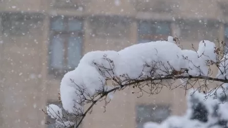 Алматы снова засыплет снегом