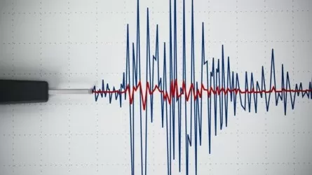 Третье за сутки землетрясение зарегистрировали сейсмологи Казахстана