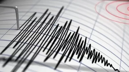 Новое землетрясение случилось в 263 км от Алматы