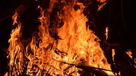 На рисках пожаров и затоплений сел в Павлодарской области сделал акцент сенатор