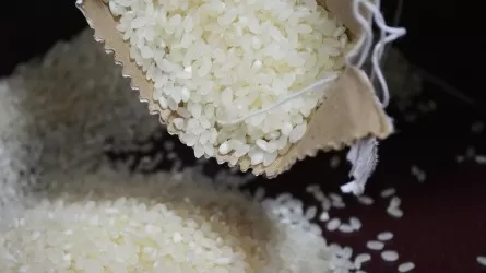 Хватит ли казахстанцам риса?  В стране резко сократилось его производство 